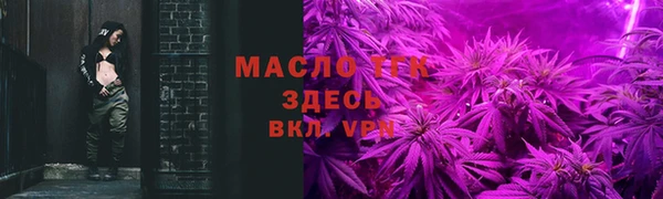 apvp Гусев