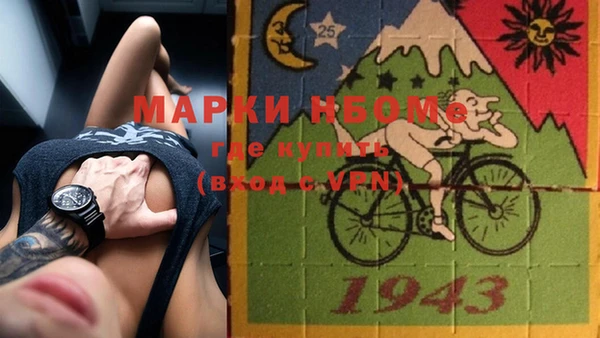 apvp Гусев