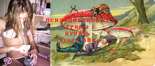 MDMA Горнозаводск