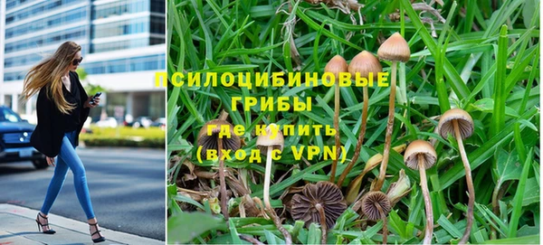 MDMA Горнозаводск